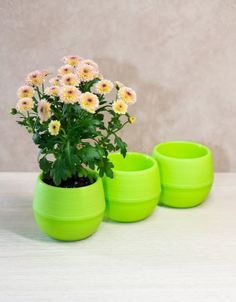 Горшок-кашпо Счастливые листочки зеленые, 3 шт