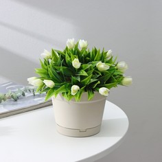 Цветочный горшок Idiland с поддоном Mint 9542358 1,2 л бежевый 1 шт.