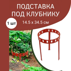 Подставка под клубнику Урожай Благодатный мир 338564673 пластиковая 14,5х 34,5 см