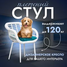 Садовое кресло, Кресло для дома, Стул из искусственного ротанга Трубки 1 шт, Белый Stuler