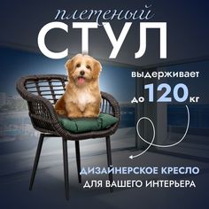 Садовое кресло, Кресло для дома, Стул из искусственного ротанга Трубки 1 шт, Венге Stuler