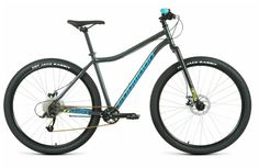 Велосипед Forward Sporting 29 X D 2022 19" темно-серый/зеленый