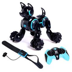 Робот-собака «Кибер пёс», световые и звуковые эффекты, работает от аккумулятора, чёрный No Brand