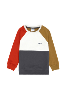 Свитшот детский US Polo Assn G083SZ0820MOKUKIDS_VR183, темно-серый; хаки, 158