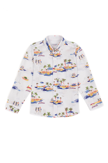Рубашка детская US Polo Assn G083SZ0040PALM, белый, 110
