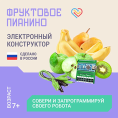 Набор для опытов Enjoy Robotics Робототехника для детей Фруктовое пианино 4385348