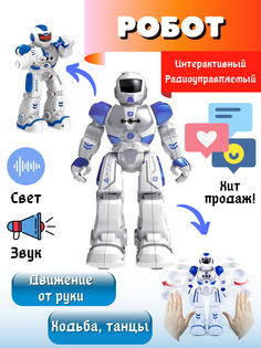 Робот на пульте управления Vulpes Интерактивный ZYA-A2746