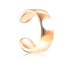 Моносерьга из серебра VALTERA 118575