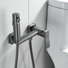 Смеситель с гигиеническим душем из латуни Raffine графит F0599T-1