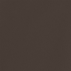 INSPIRE Pablo new Fossil 3 обои виниловые на флизелиновой основе (1.06х10,05м) коричневые