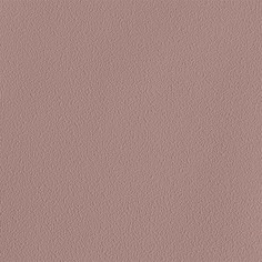 INSPIRE Pablo new Fossil 5 обои виниловые на флизелиновой основе (1.06х10,05м) бежевые