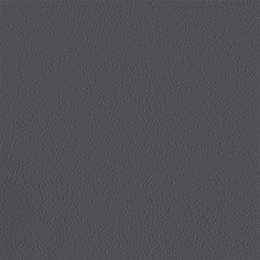INSPIRE Pablo new Paris 2 обои виниловые на флизелиновой основе (1.06х10,05м) графитовые