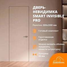 Дверь скрытого монтажа Belwooddoors 800*2000, в комплекте коробка, магнитная защелка петли