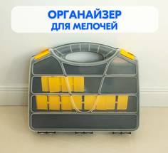 Органайзер двухсторонний Emtsy Saturn 13 320х260х70мм черный 221401630/01 Idiland