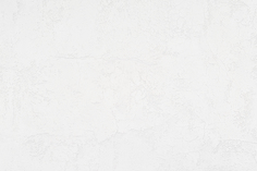 Обои АРТЕКС 10646-01 винил 1,06x10 Мэйсон фон