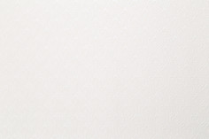 Обои HomeColor Adore вспененный винил на бумажной основе, фон 0,53*10м бежевый