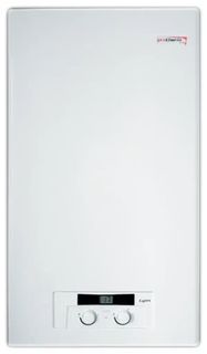 Настенный газовый котел Protherm Рысь НК 24