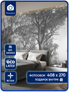 Фотообои Photostena Лес в тумане 4,08 x 2,7 м
