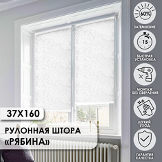 Рулонные шторы Эскар Рябина белый 37х160 см