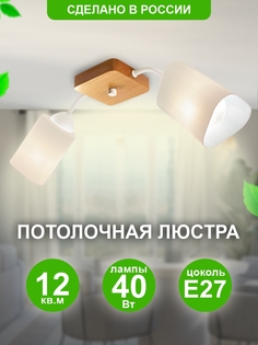 Люстра Дубравия потолочная "xанна" 2xE27x60Вт и 019-51-12