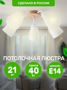 Люстра потолочная Дубравия "Диана", 5хE14x40Вт, белый и натуральный 080-51-25