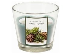 Ароматическая свеча в стекле ЗЕЛЁНЫЙ ЛЕС, 8 см, Koopman International
