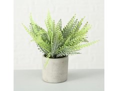 Искусственное растение в горшке ПАПОРОТНИК ПЕЛЛЕЯ. Керамика, пластик, 23 см, Boltze