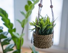 Искусственное растение COZY GREENS в подвесном джутовом кашпо, модель: перистое, пластик Kaemingk