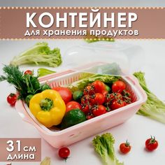 Контейнер пластиковый №40, Gozal 900 с крышкой Takara
