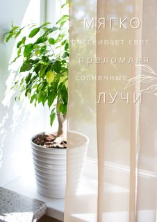 Тюль Iris бежевый размер 280х260 Арт. ТВ3333беж