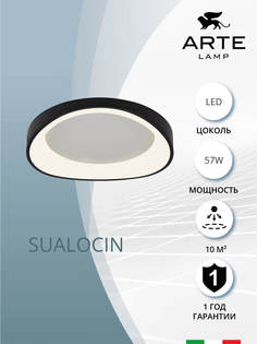Потолочный светильник Arte Lamp SUALOCIN A2698PL-60BK