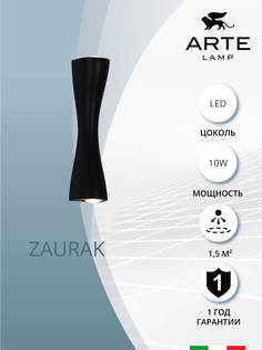 Декоративная подсветка Arte Lamp ZAURAK A2697AP-10BK