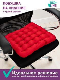 Подушка на стул Bio-Line 40х40 см с гречневой лузгой цвет красный