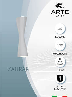 Декоративная подсветка Arte Lamp ZAURAK A2697AP-10WH