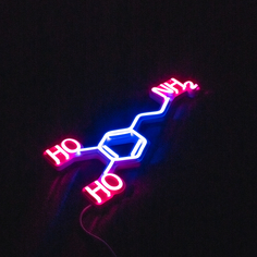Светильник декоративный Неоновая Молекула дофамина, 30х15 см No Brand