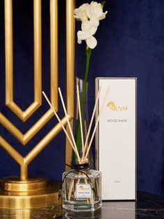 Аромадиффузор Arya Reed 100 ml Rose