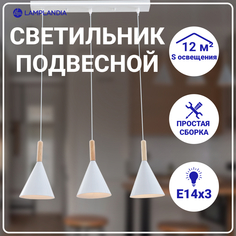 Светильник подвесной Lamplandia L1625 GRAN WHITE, Е14х3 макс 40Вт