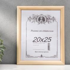 Фоторамка некрашеная 2/3 20х25 см Аливан