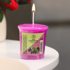 Свеча ароматическая Black Cherry, черная вишня Богатство Аромата