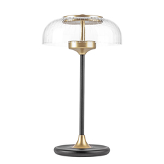 Лампа настольная Lightstar Acrile 738973