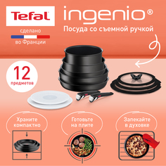 Набор посуды Tefal Ingenio Exception Noir L7639453