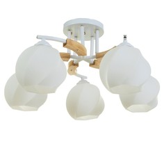 Люстра BayerLux Антер 9408257