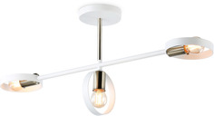 Потолочная люстра на штанге Ambrella TRADITIONAL TR8228