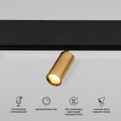 Умный трековый светильник Elektrostandard Slim Magnetic Dim Cantors 85071/01 латунь 5W