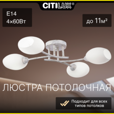 Потолочная люстра Citilux Флорида CL148140
