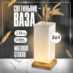 Декоративная ваза светильник Solmax для сухоцветов 12х25 см белый