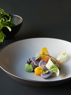 Салатник Revol Экинокс керамический 27 см Револ