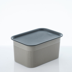 Корзина с крышкой для хранения Rotho Brisen S 4,5 л