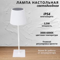 Лампа настольная светодиодная с аккумулятором FEDOTOV 3,5Вт 3000-6000К белый