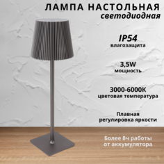 Лампа настольная светодиодная с аккумулятором FEDOTOV 3,5Вт 3000-6000К серый
